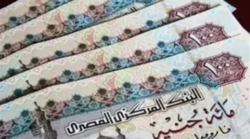 المالية تنهي التنسيق مع الوحدات الحسابية لسرعة صرف مستحقات العاملين بالدولة